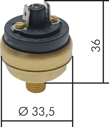 Exemplary representation: Pressure switches