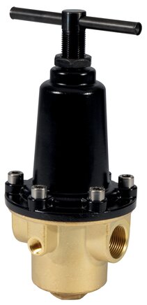 Exemplary representation: Brass pressure regulator